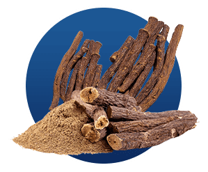 Licorice Extract